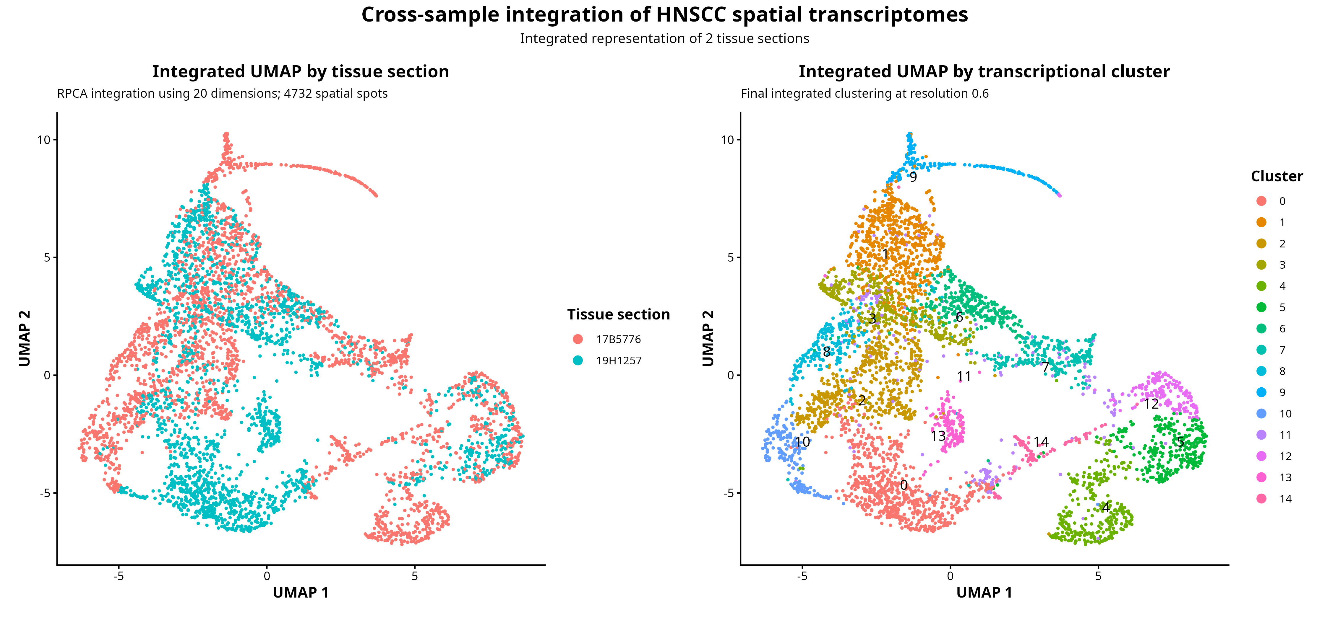 Integrated RPCA UMAP showing HNSCC spatial spots colored by tissue section and integrated transcriptional cluster.